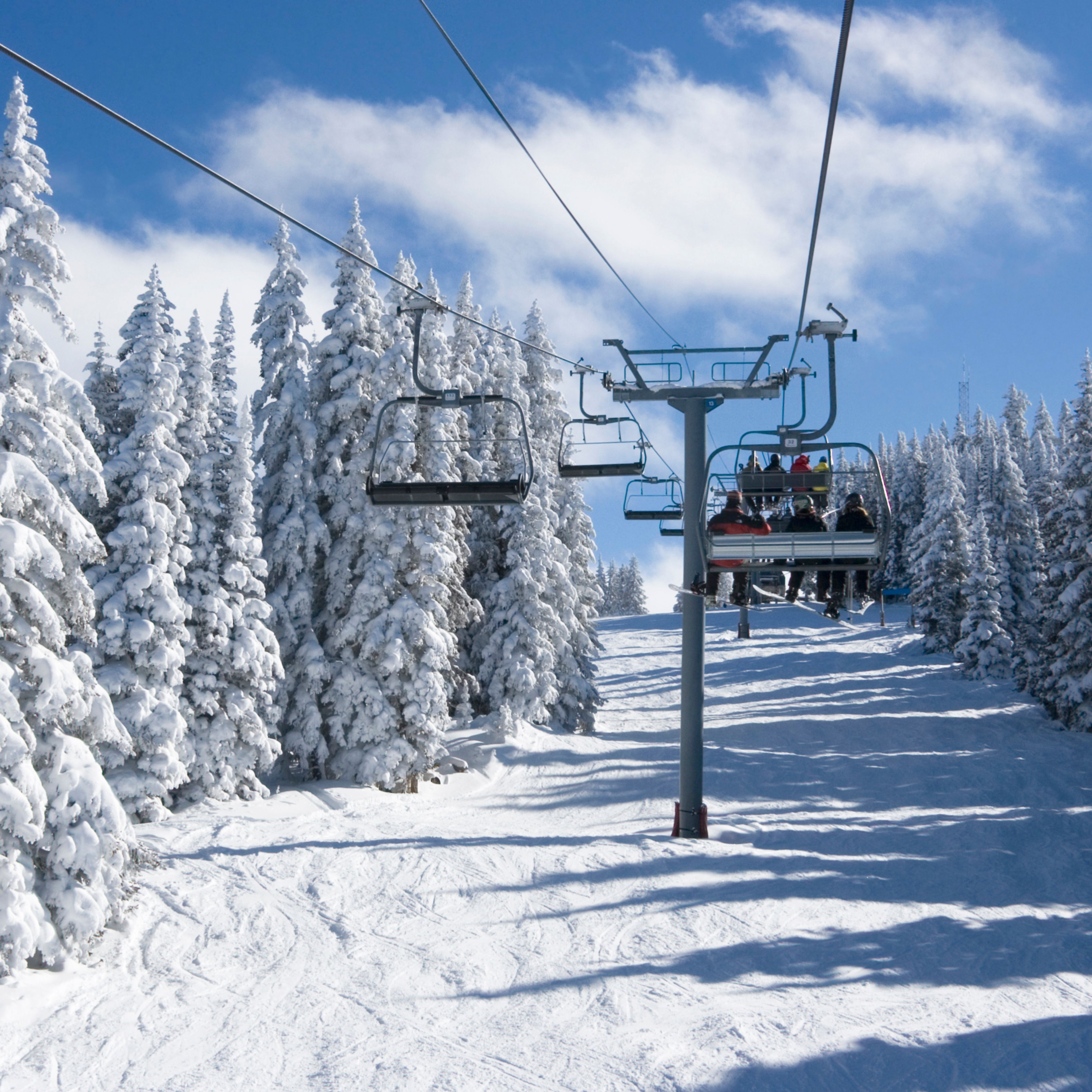 Ski lift going through snowy forest