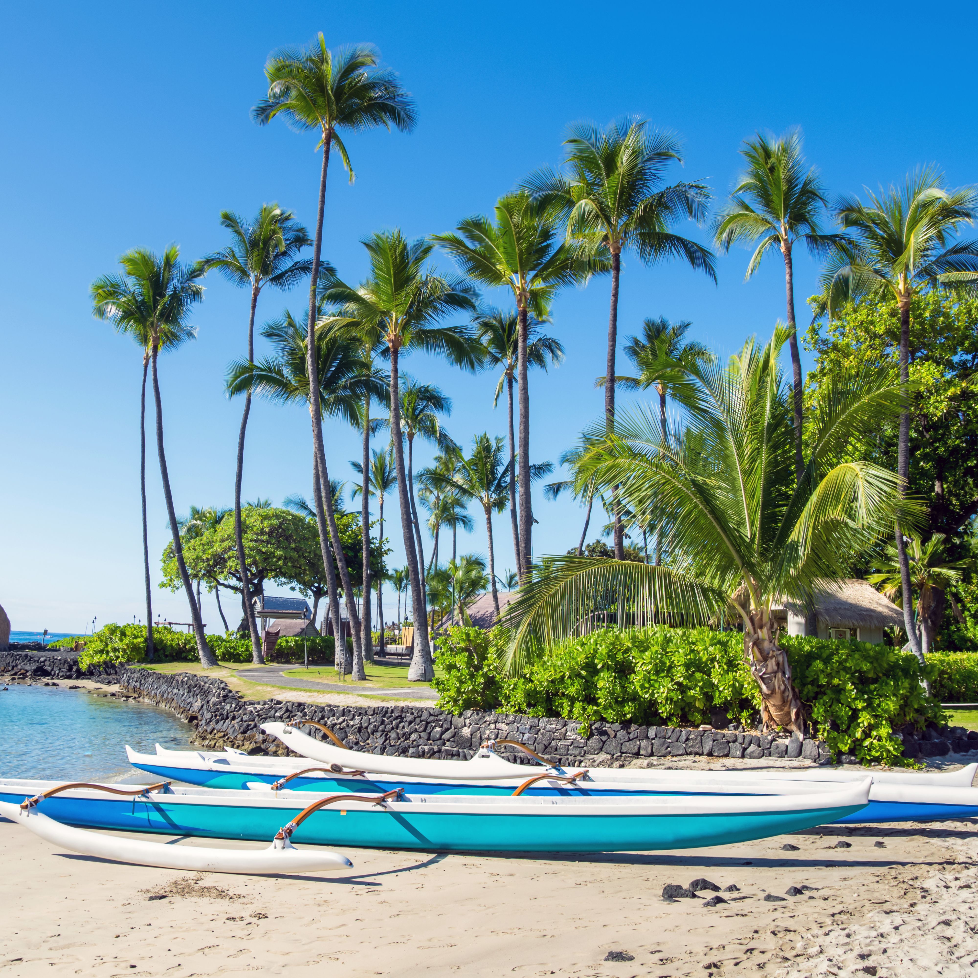 canoes on sandy beach in front of palm trees